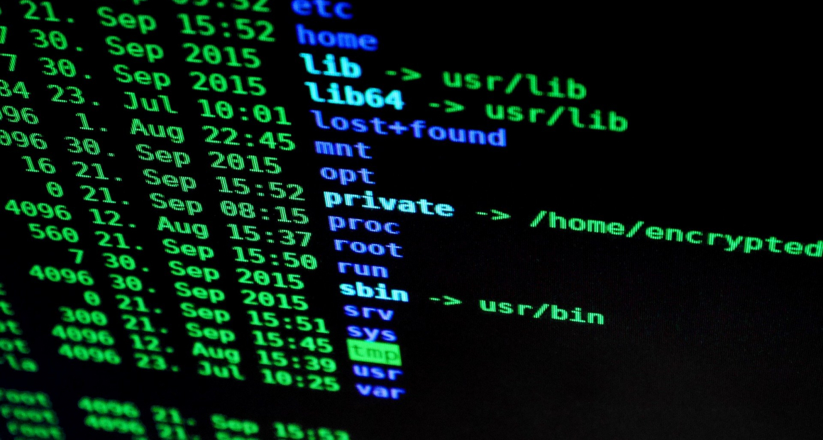 Betriebsrisiko Cyberkriminalität